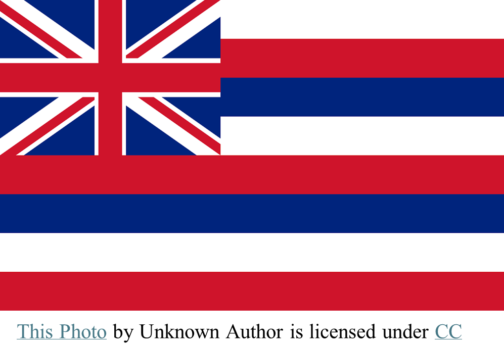 Hawaii State Flag