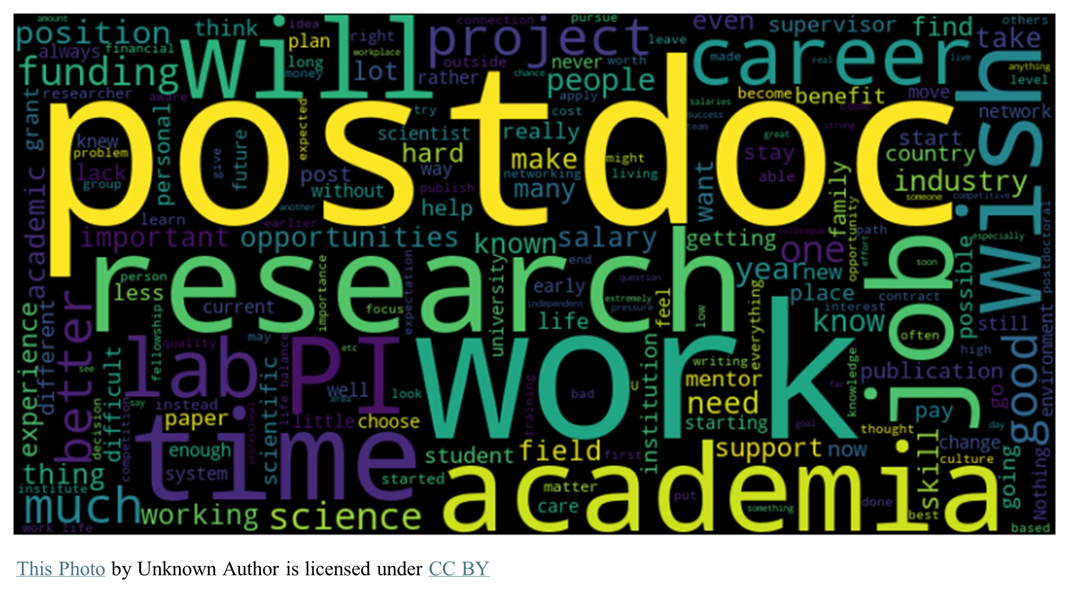 Graphic says postdoc