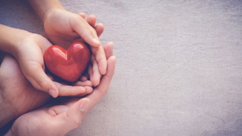 Photo shows an adult and a child's hands cupped together holding a red heart object on a gray background